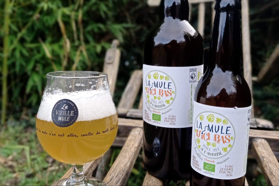 LA VIEILLE MULE