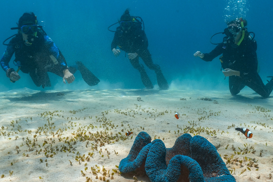 AQUANAUT DIVE CENTER
