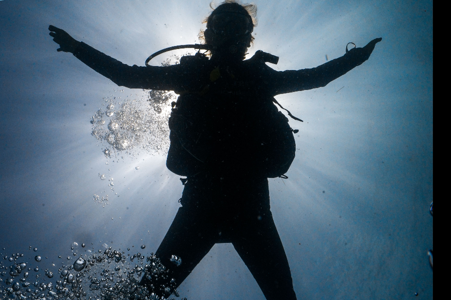 AQUANAUT DIVE CENTER