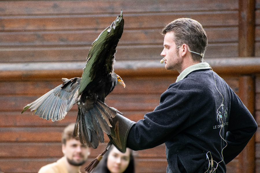 animation vol d'oiseau - ©Domaine des Fauves