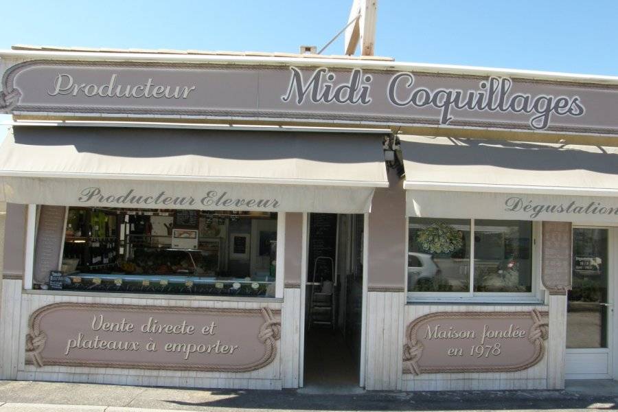 MIDI COQUILLAGES