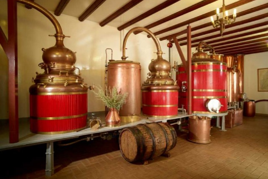 Les alambics - ©Distillerie Guy