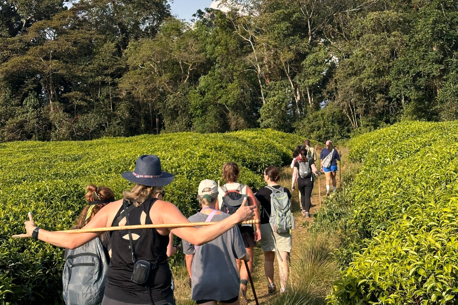 NYUNGWE NATIONAL PARK