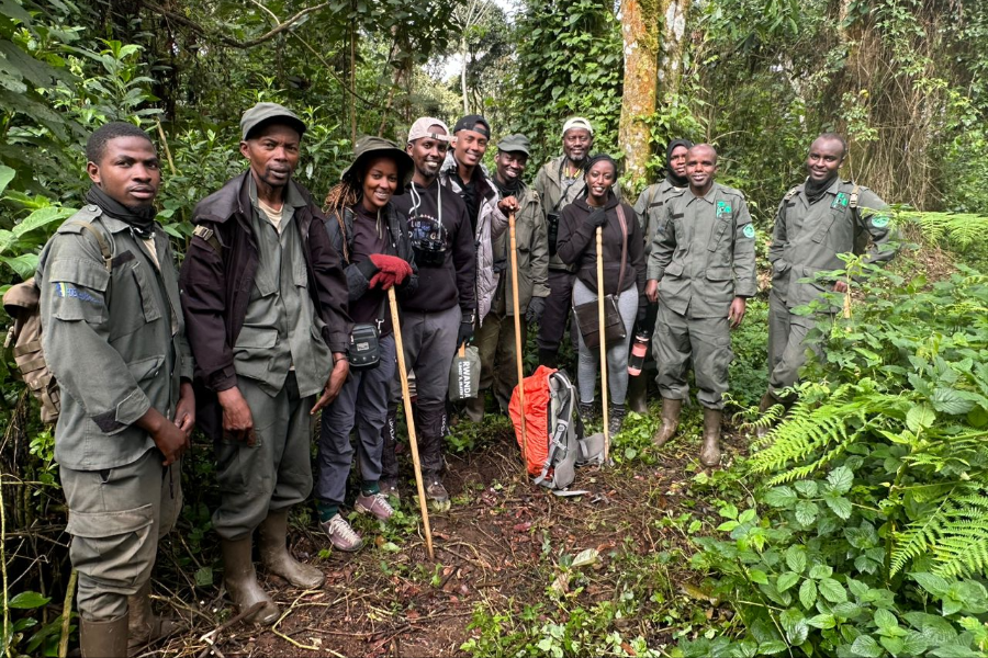 NYUNGWE NATIONAL PARK