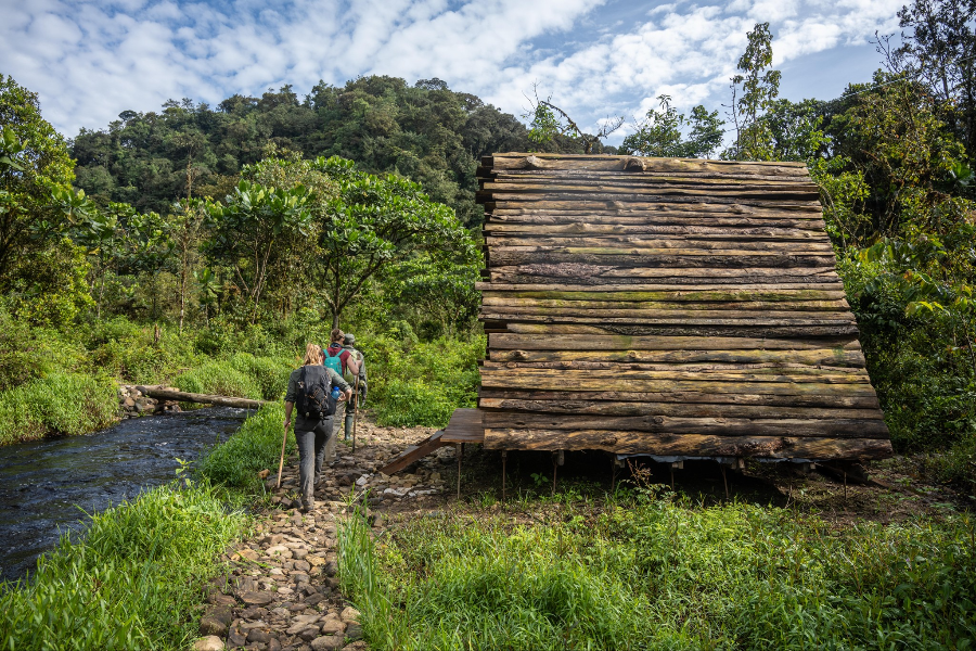 NYUNGWE NATIONAL PARK