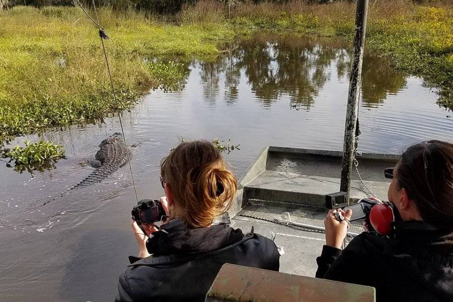 AIRBOAT TOUR - ©AIRBOAT TOURS BY ARTHUR