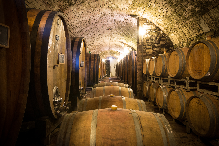 Our old Cellar with barrels and barriques