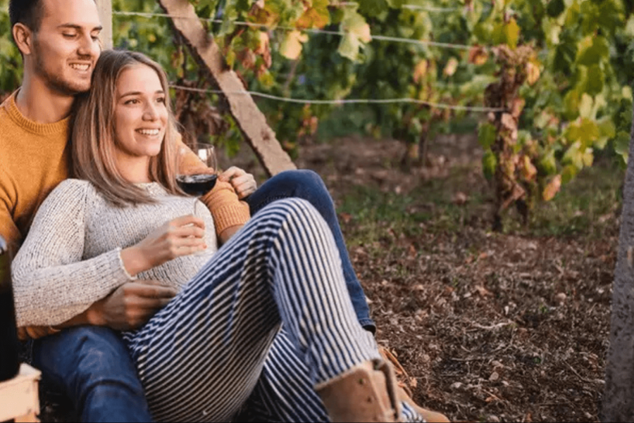 picnic_in_vineyard
