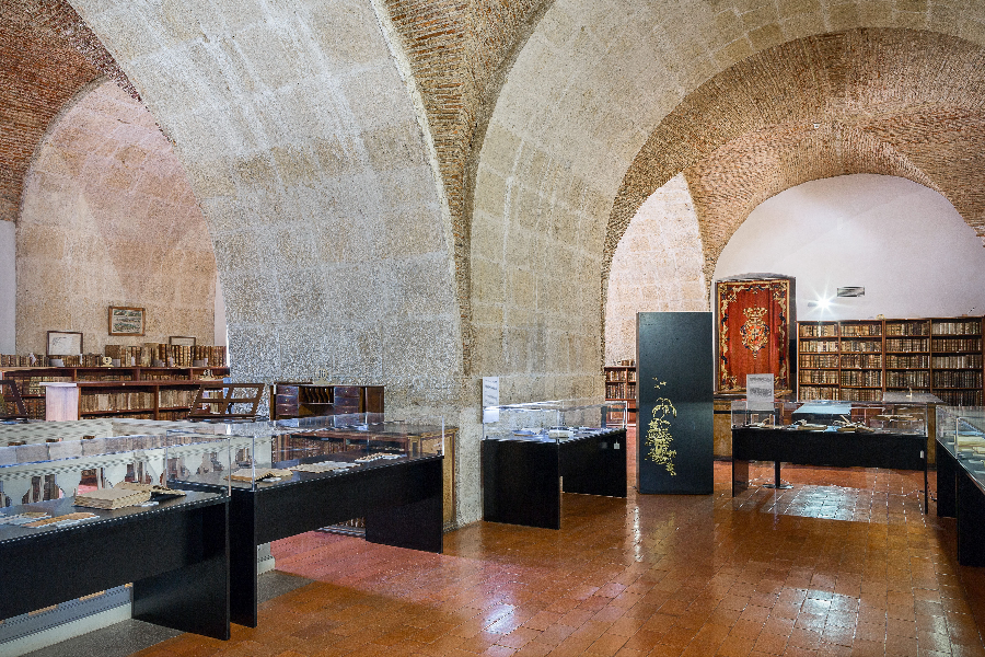 The Middle Floor of the Joanine Library - ©University of Coimbra
