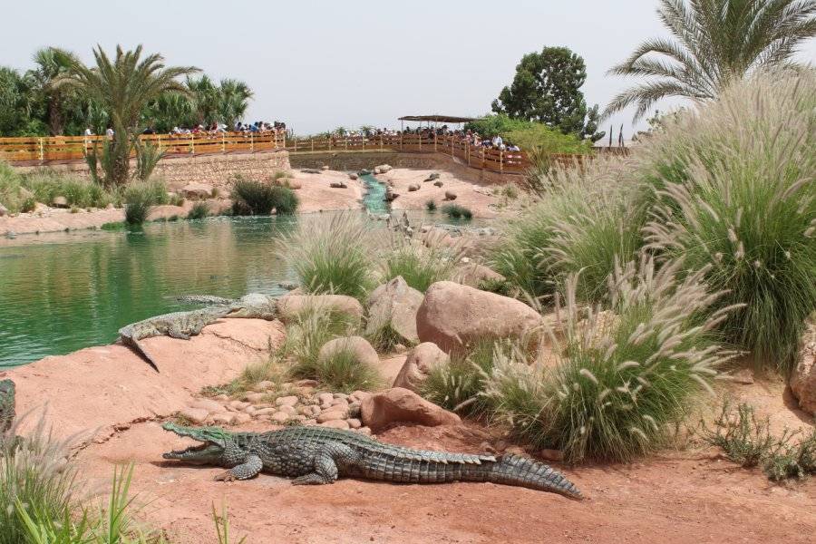 Guelta crocoparc - ©CROCOPARC