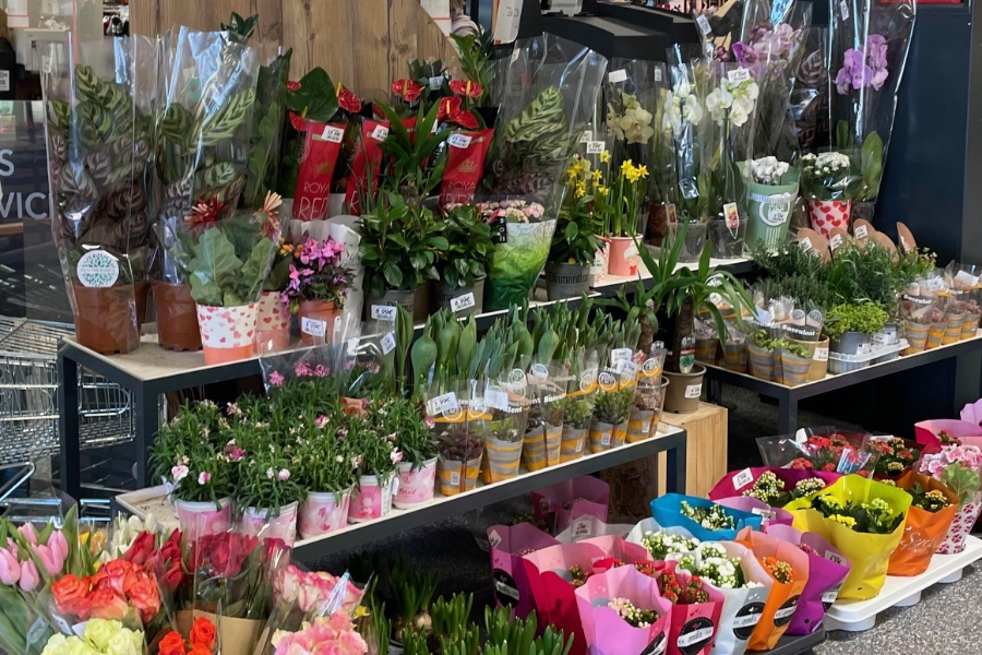 intermarche saint pardoux