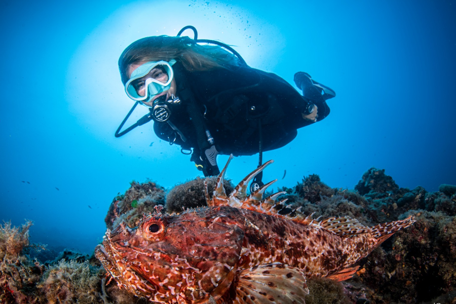 Une femme plongeant aux îles medes - ©Rafael Fernández - Diving Center la Sirena