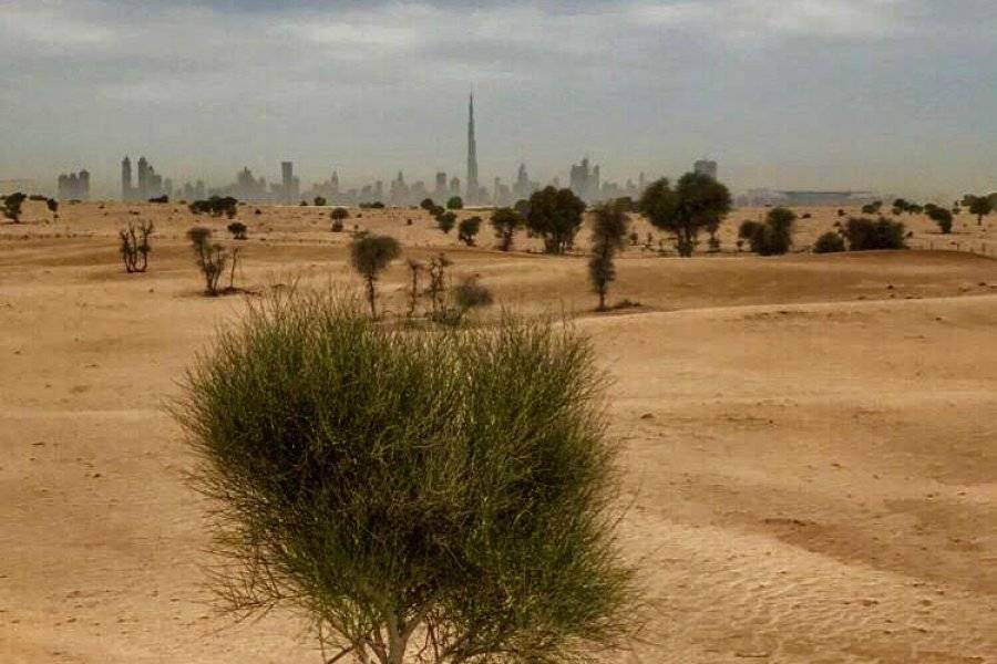 Le Désert de Dubai - ©JOSETTE GHAZAL - GUIDE FRANCOPHONE