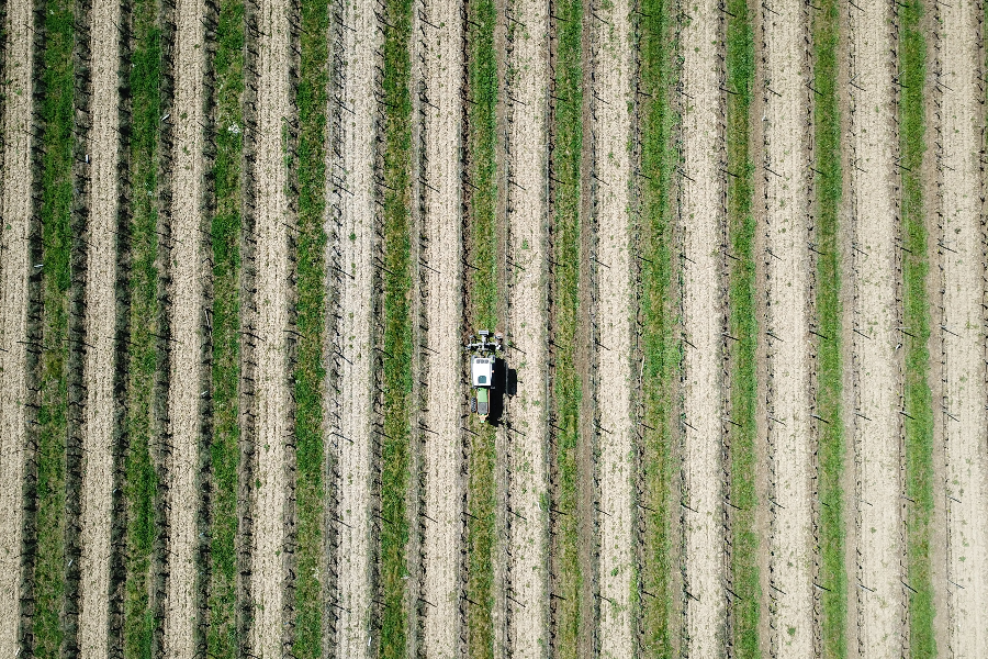 Travail mécanique au sein des vignes