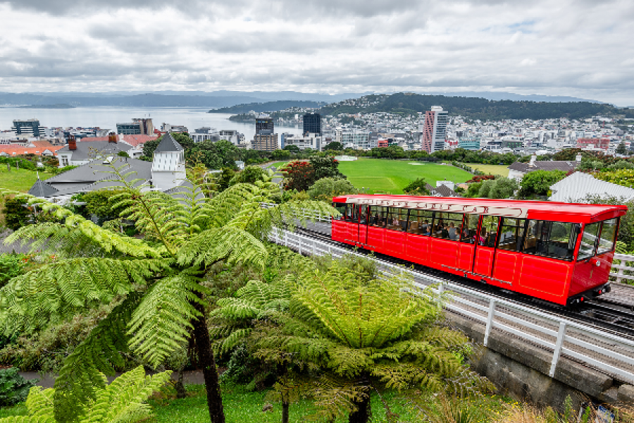 Wellington - Capitale de la Nouvelle-Zélande - ©Yoann Feillet