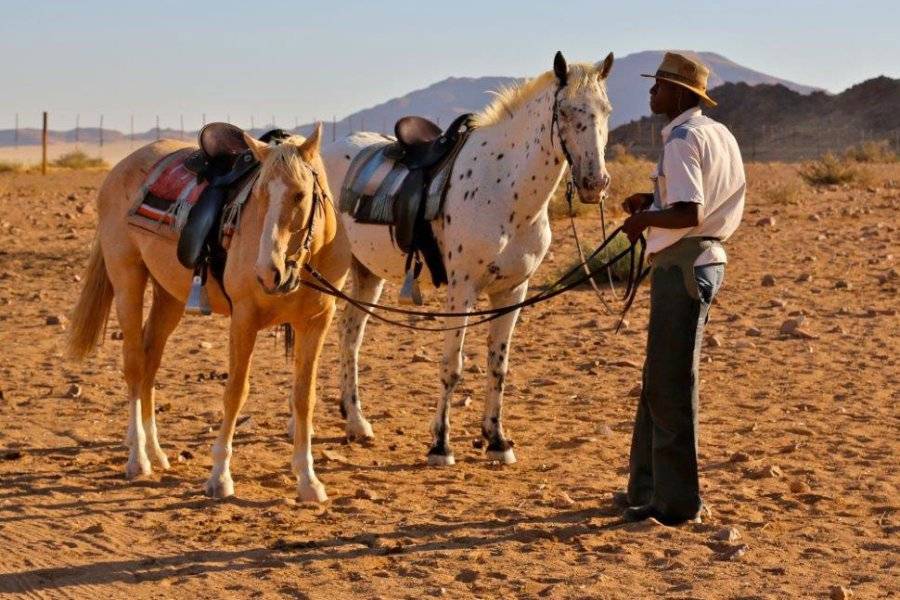 sortie equestre