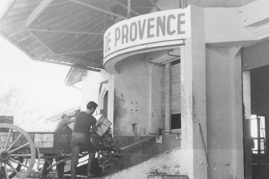 La cave centenaire (1924)