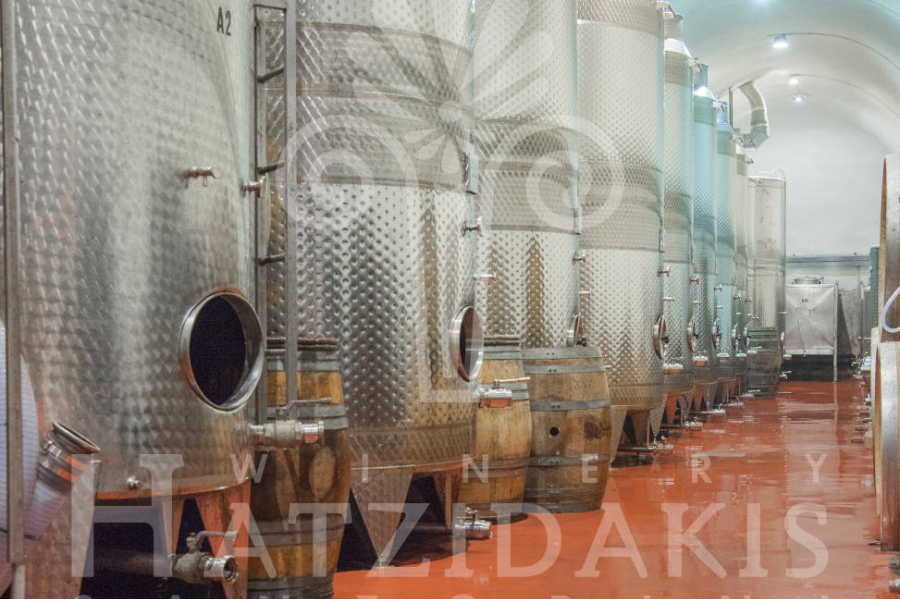 Wine making process - ©Hatzidakis