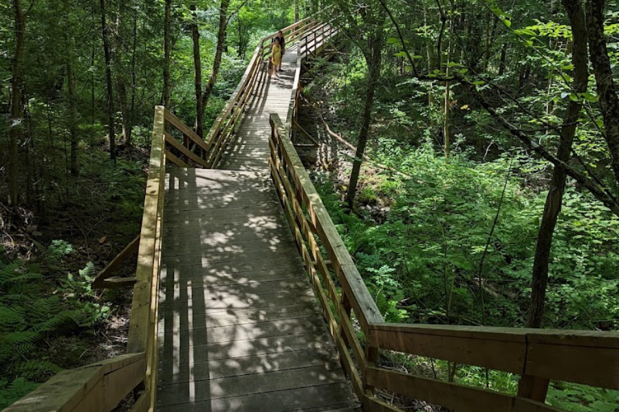  - ©PARC DES CHUTES-DE-LA-PETITE-RIVIÈRE-BOSTONNAIS