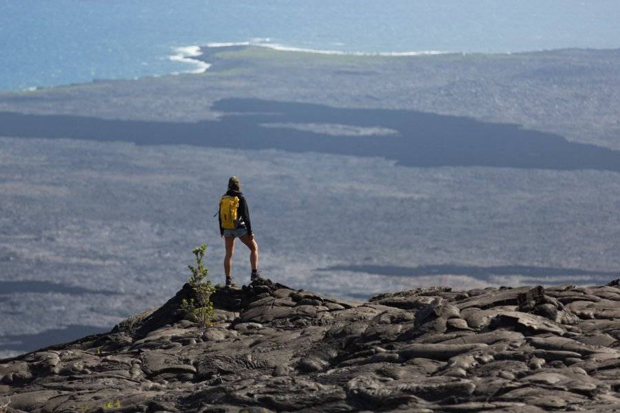 CLEMENTINE IN HAWAII Agence de voyage - Tours opérateurs Paia photo n° 365906 - ©CLEMENTINE IN HAWAII