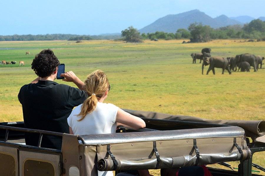 Safari au Sri Lanka - ©MAI GLOBE TRAVELS