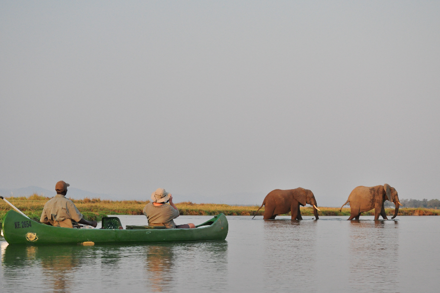 safari en canoë dans le parc de Mana Pools, Zimbabwe