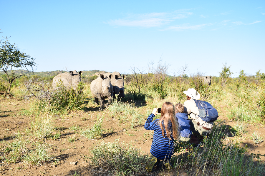 Safari à pieds en famille dans le parc de Matopos, Zimbabwe - ©Aurelia Garnier