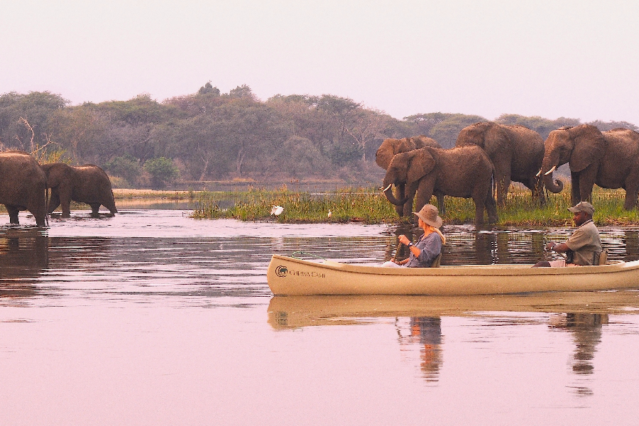 Safari en Canoe Zambèze - ©Chiawa Safaris