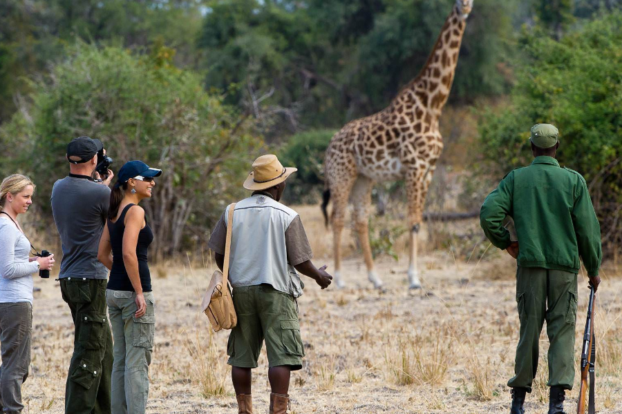 Safari à pieds, Parc de South Luangwa - ©Flatdogs Camp