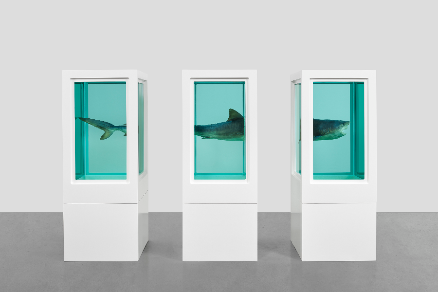 DAMIEN HIRST TO STAGE FIRST MAJOR SURVEY EXHIBITION IN GERMANY OPENING AT MUCA ON 26 OCTOBER 2023 - ©Damien Hirst and Science Ltd. All rights reserved, DACS/ArKmage 2023