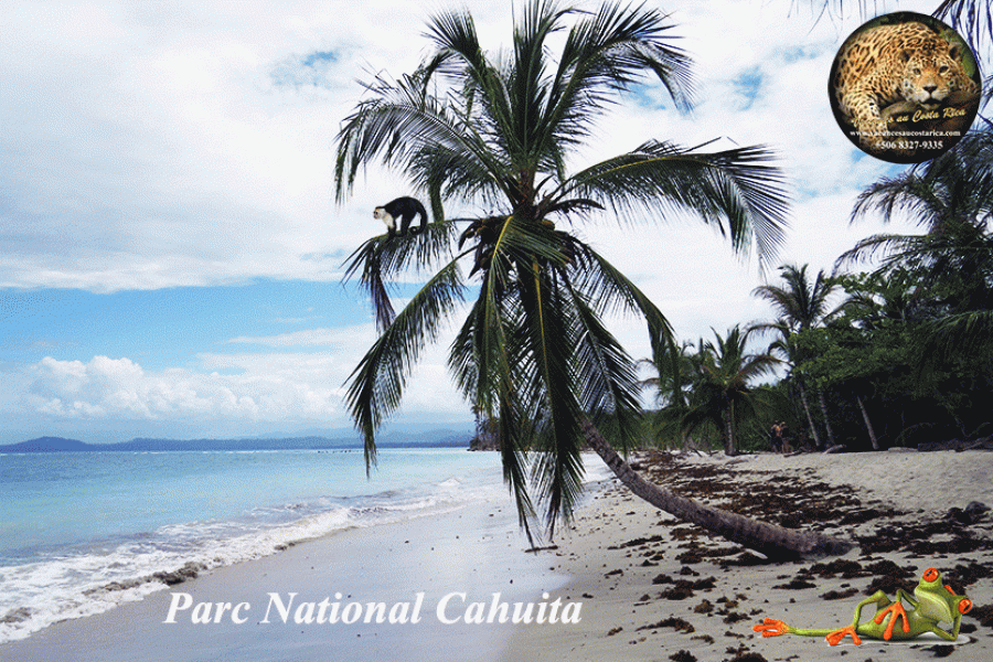 PN National Cahuita - ©VACANCES AU COSTA RICA