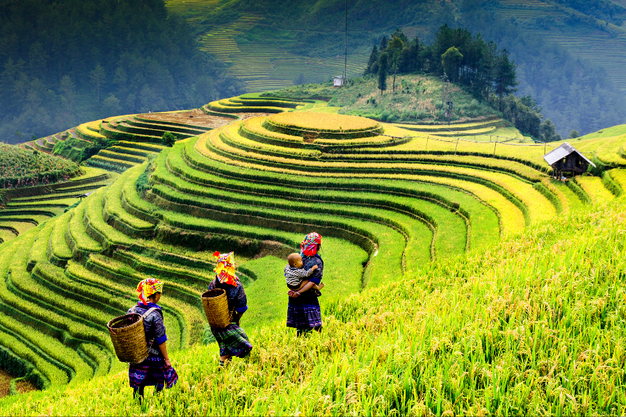 APSARA TOURS