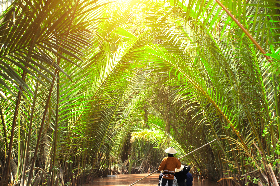 APSARA TOURS