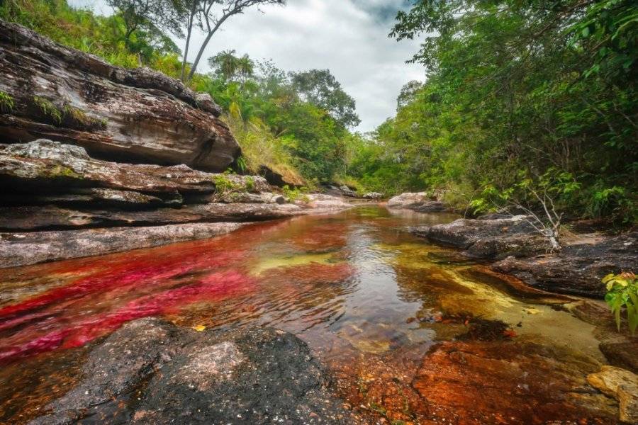 Caño Cristales - ©MAGELIA COLOMBIE