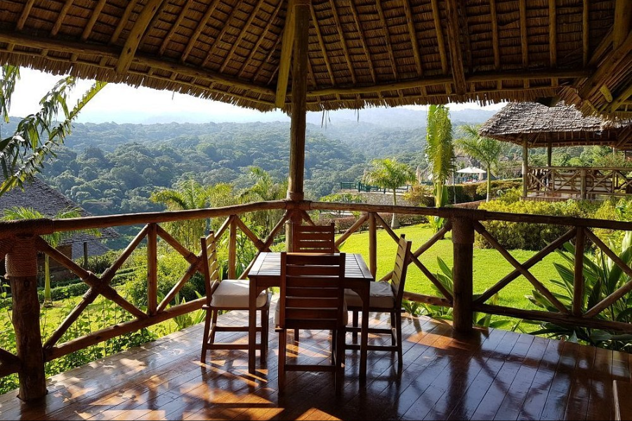 AFRICAN SCENIC SAFARIS