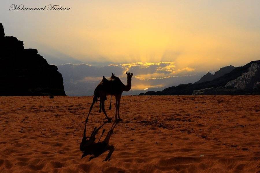 ENJOY JORDAN TOURS A