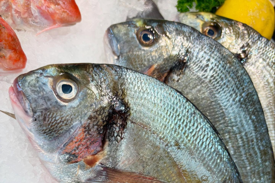 L'ATELIER DES POISSONNIERS