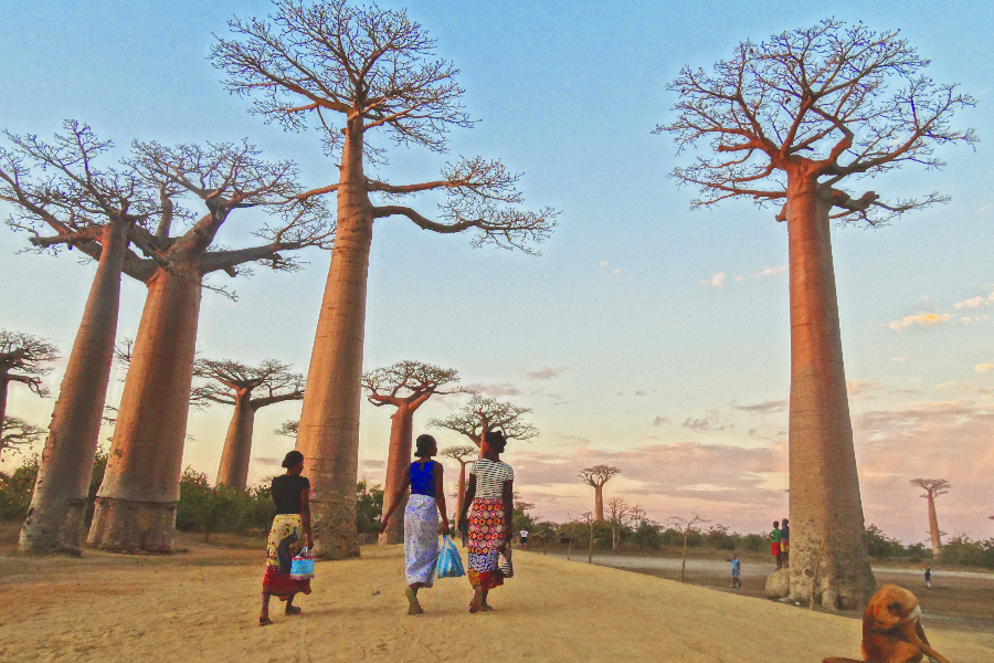 Tour Malin Madagascar - ©Tour Malin Madagascar