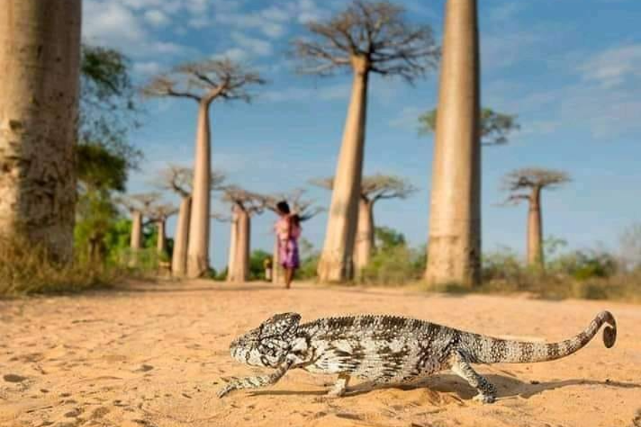 Tour Malin Madagascar - ©Tour Malin Madagascar