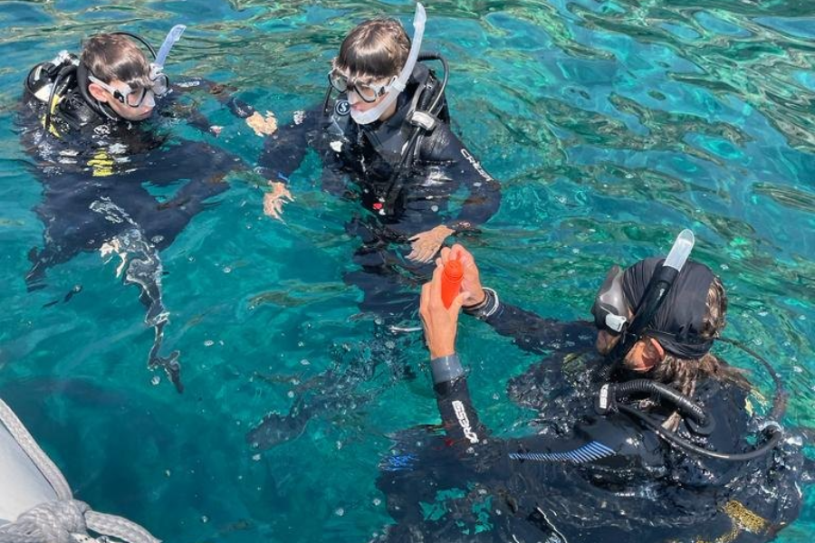 CYCLADIC DIVING