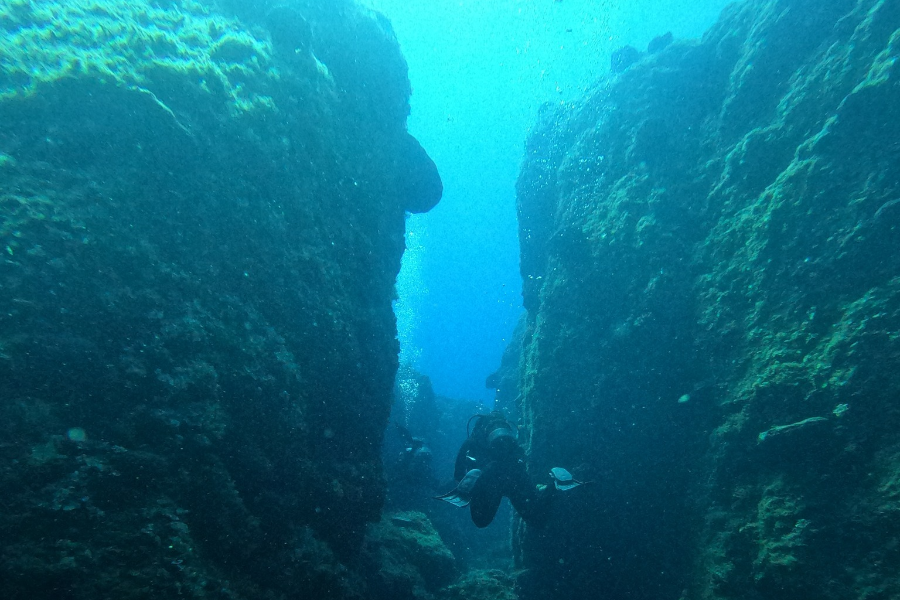 CYCLADIC DIVING