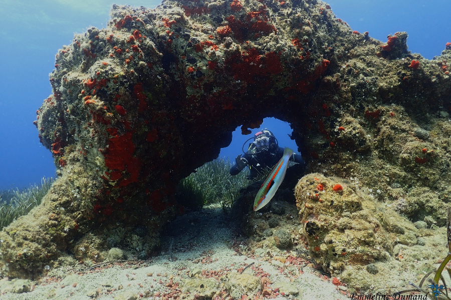 CYCLADIC DIVING