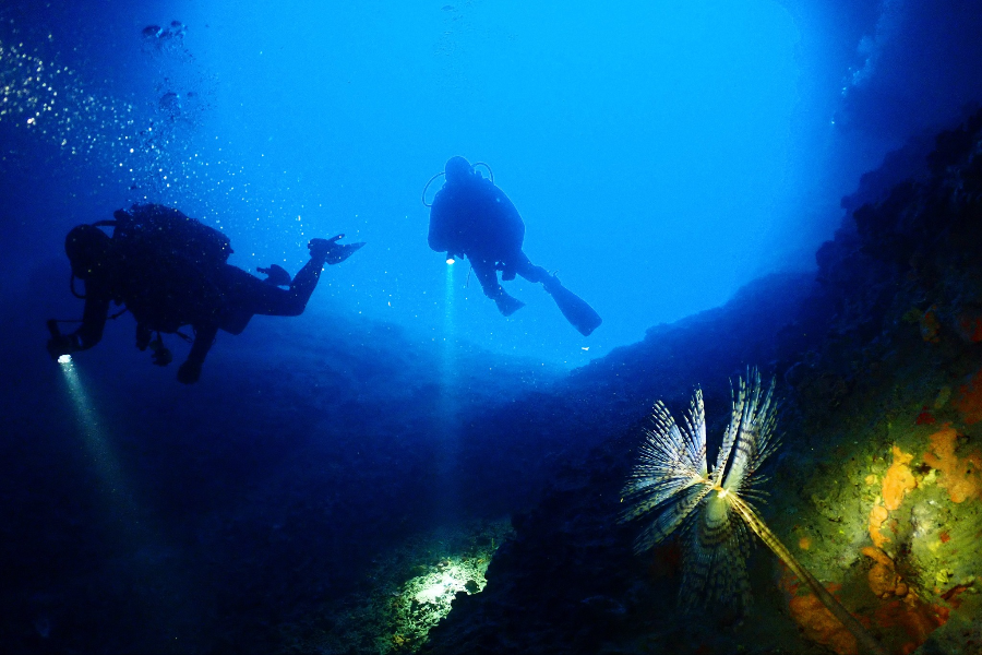 CYCLADIC DIVING