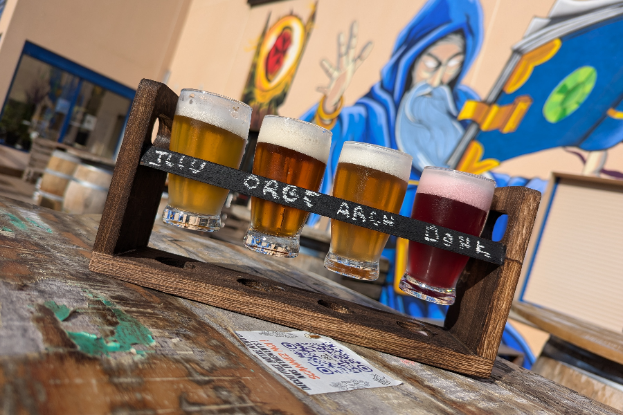 Dégustation bière Mage Malte