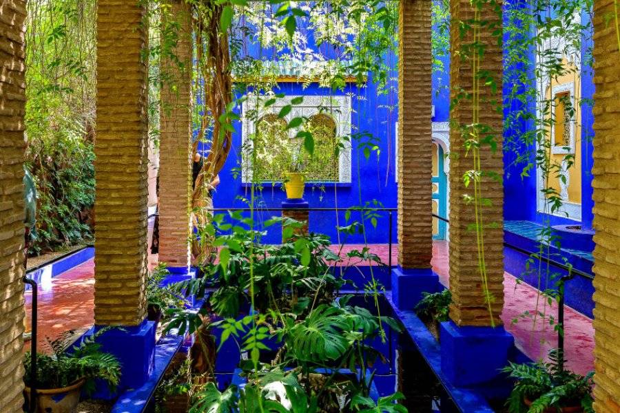 Loui Photo - stoc... - ©JARDIN MAJORELLE