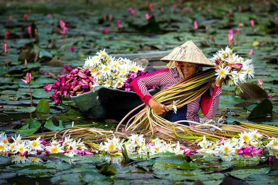 Authentik Vietnam - ©Authentik Vietnam