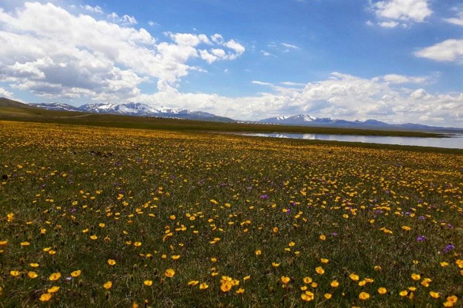 Lac Son Kol