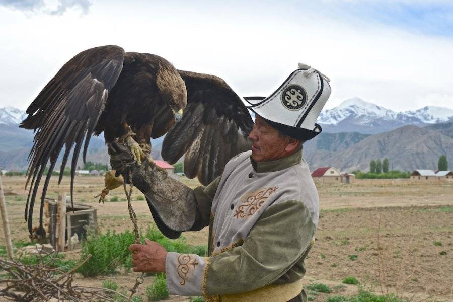 Chasseur à l'aigle