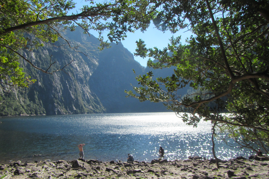 Parc Alerce Andino - ©Jasspuertovaras