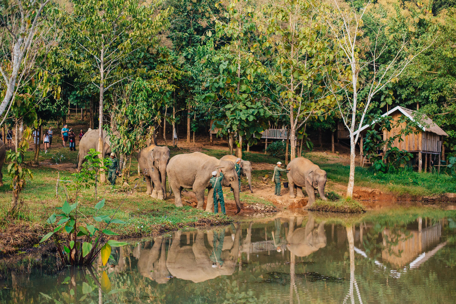 ELEPHANT CONSERVATION CENTER